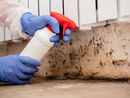 Best Mold Prevention Services  in Columbia, PA